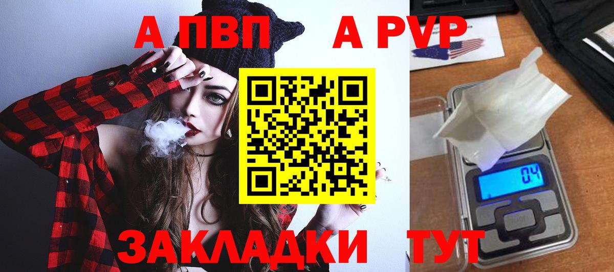 Альфа ПВП крисы CK  Вход с VPN  A PVP СК  Свободный  Alfa_PVP СК 