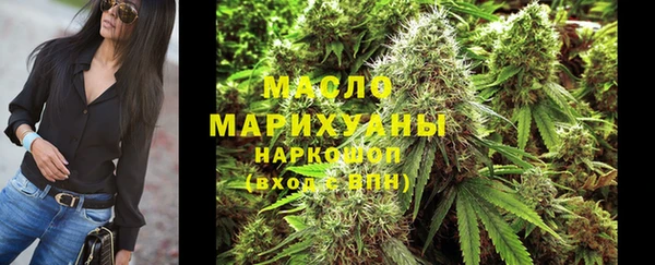 крисы Богородицк