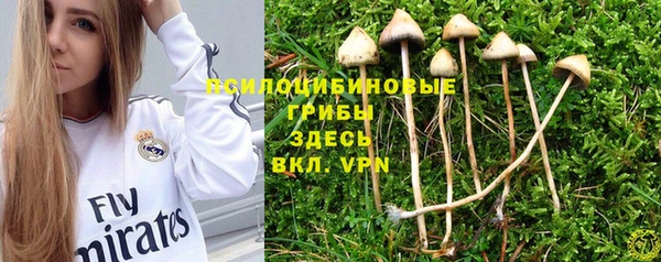 трава Бронницы