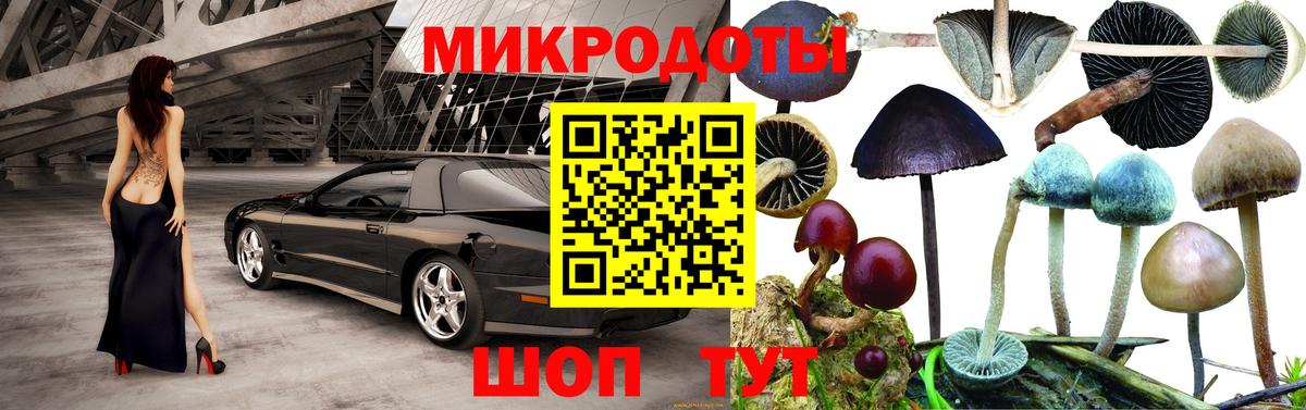 Псилоцибиновые грибы мухоморы  Вход с VPN  где продают   Свободный 