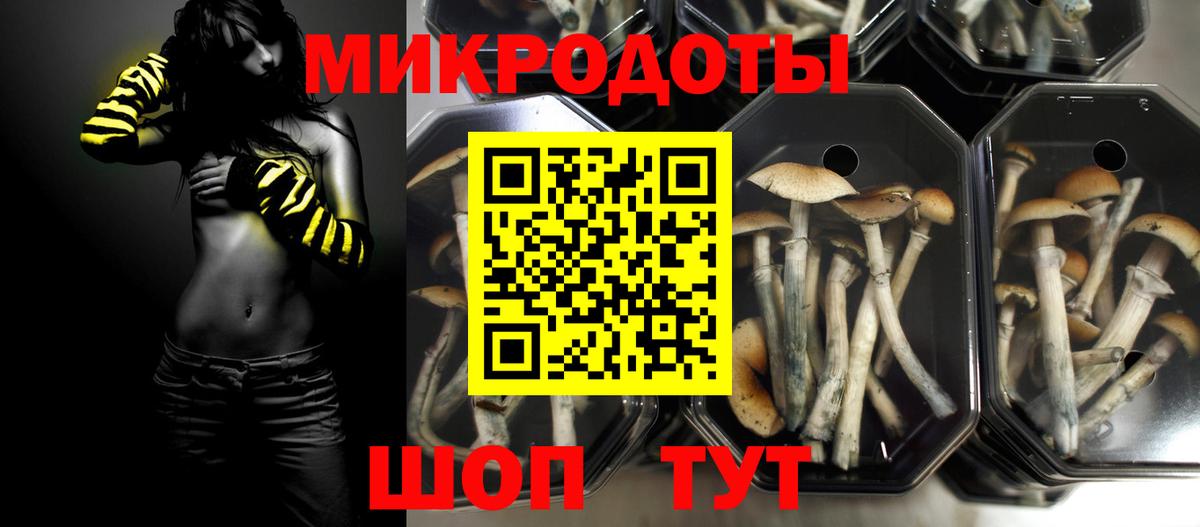 Галлюциногенные грибы MAGIC MUSHROOMS Свободный